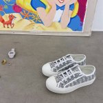 批发直销 女鞋 女装 年D家上新啦，与官网同步 WALK N DIOR 刺绣帆布鞋系列 全棉丝双面立体刺绣 此款鞋所有材料均为原版开模，上至五金，鞋带，大底，P