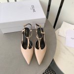 小牛皮蜥蜴皮：245 蛇皮：410￥ celine 2023春夏小猫跟，尖鞋头造型，柔美的露脚设计，脚踝绑带。 triomphe T字绑带设计，配有金属 Tr