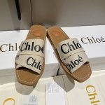 工厂批:电绣款 ，全字母款 ， 低利润，不议价，材料上涨，希望理解 Chloe 克洛伊 最新的交叉编织带罗马拖鞋 进口定做的高密度多物料组合织带 并不是一般的帆