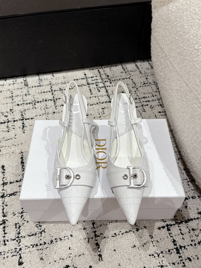迪奥早春爆品 顶版 尖头高跟鞋 这款高跟鞋重新诠释了 Dior 复古系列黑色漆皮牛皮革鞋面搭配银色调牛皮革金属饰牌，打造镜面效果！优雅的尖头设计与银色高跟鞋相得