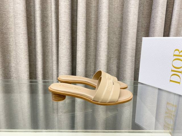 迪奥 Dior 2025 春夏新款 DWAY 平底一字拖拼色女鞋 CD字母logo立体刺绣圆柱跟凉鞋 方头粗跟果冻色露趾拖鞋 原版开发市面顶级版本材质：鞋面原版